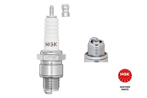 Ngk zündkerze - ngk,