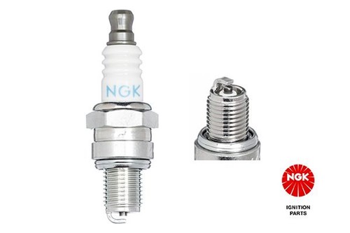Ngk zündkerze - ngk,